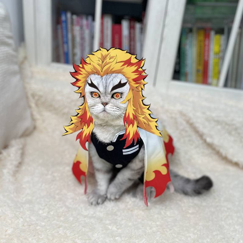 ชุดคอสเพลย์ปีศาจสังหารเสื้อผ้า - Cosplay Flame Prop บทวิจารณ์และราคา