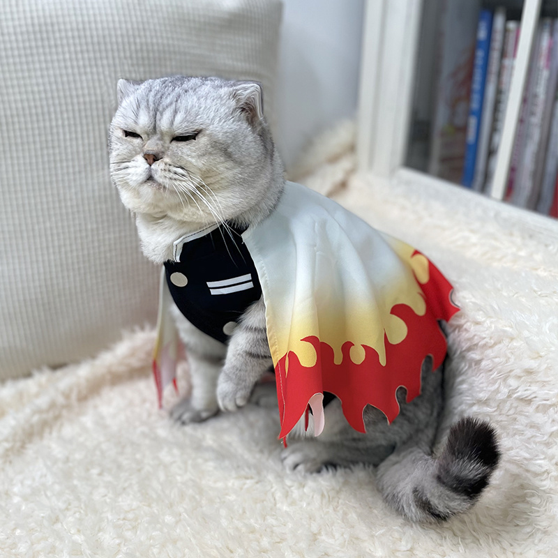ชุดคอสเพลย์ปีศาจสังหารเสื้อผ้า - Cosplay Flame Prop บทวิจารณ์และราคา